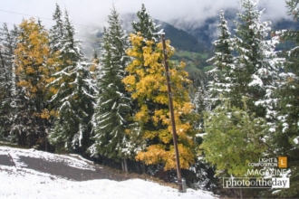 In between the White Snow by Subramaniam K V