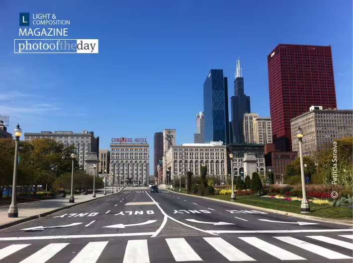 Chicago by Patricia Saraiva