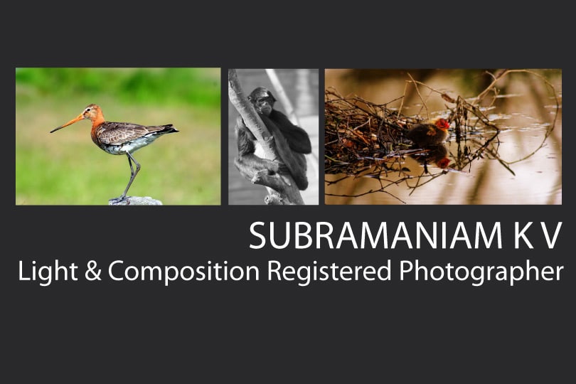 Subramaniam K V Subramaniam K V