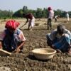 The Earthy Soul of Manikganj by Shahnaz Parvin