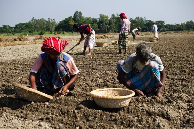 The Earthy Soul of Manikganj by Shahnaz Parvin