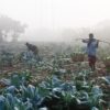The Sacred Rhythm of the Soil by Shahnaz Parvin