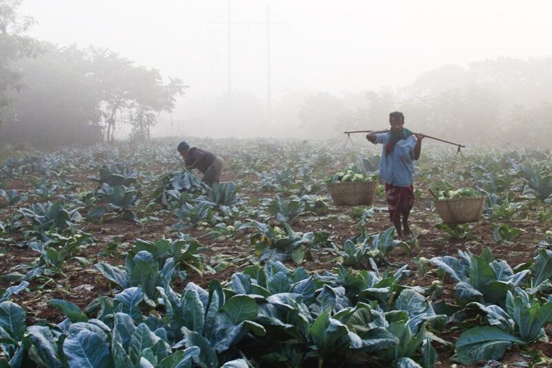 The Sacred Rhythm of the Soil by Shahnaz Parvin
