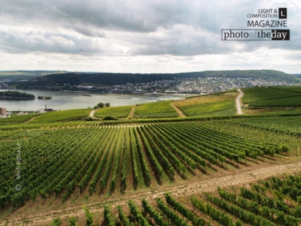 Autumn in Transition, by Mai Phuong Duong - Nature Photography, Photography Awards, Photo of the Day, Autumn Photography, Landscape Photography