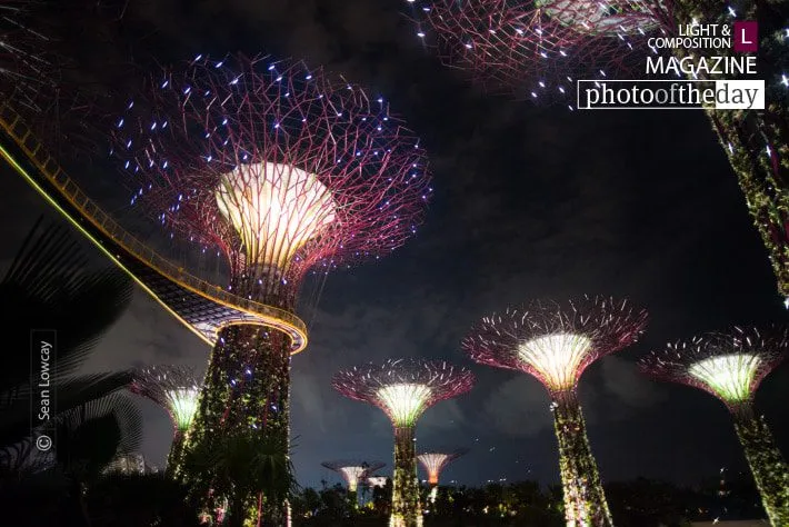 Alien Nights in Asia by Sean Lowcay