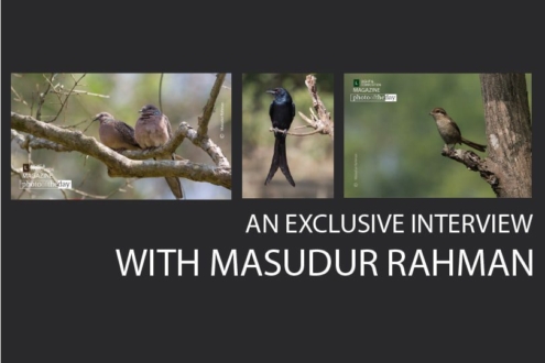 An Exclusive Interview with Masudur Rahman - Wildlife Photography, Bird Photography, Photo of the Month, Photography Interview, Masudur Rahman