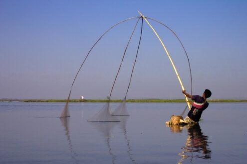 The Living Waters of Bengal by Shahnaz Parvin