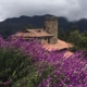 Beautiful Castle and Flowers, by Oscar Garcia
