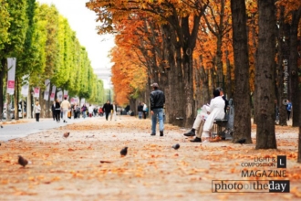 Autumn in Paris by Minh Nghia Le