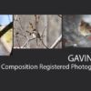 Gavin Day - Photojournalism, Photography, Wildlife Photography, Nature Photography, Light & Composition
