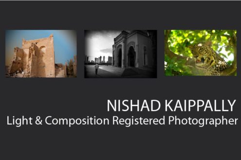Nishad Kaippally - Wildlife Photography, Nature Photography, Bird Photography, Photography Awards, Light & Composition