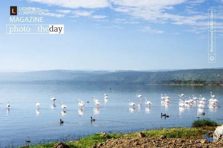 Lake Nakuru by Mohammad Saiful Islam