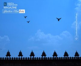 The Natural Frame by Subhashish Nag Choudhury