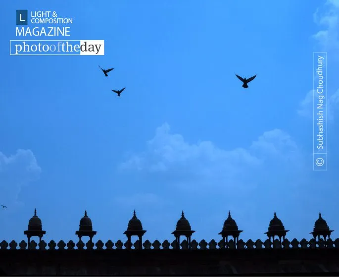 The Natural Frame by Subhashish Nag Choudhury