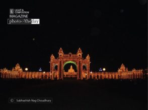 Illuminated Beauty by Subhashish Nag Choudhury