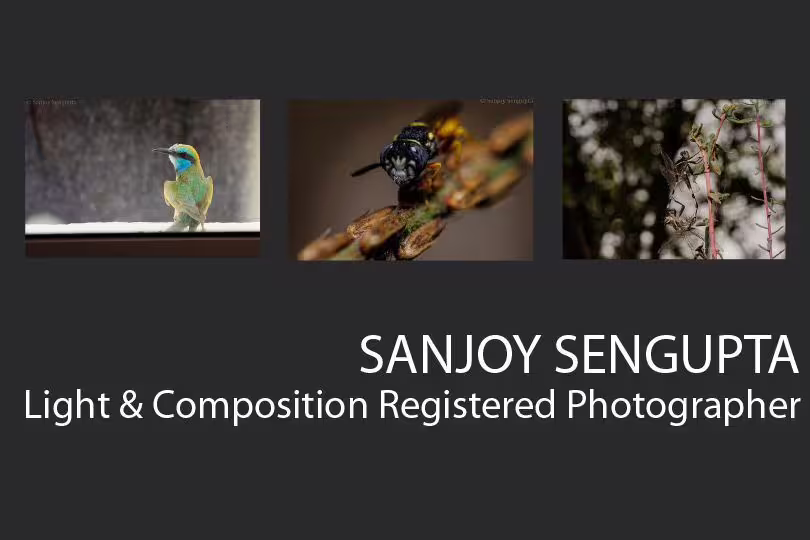 Sanjoy Sengupta