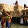 Hands That Feed the Nation by Shahnaz Parvin