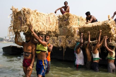 Hands That Feed the Nation by Shahnaz Parvin