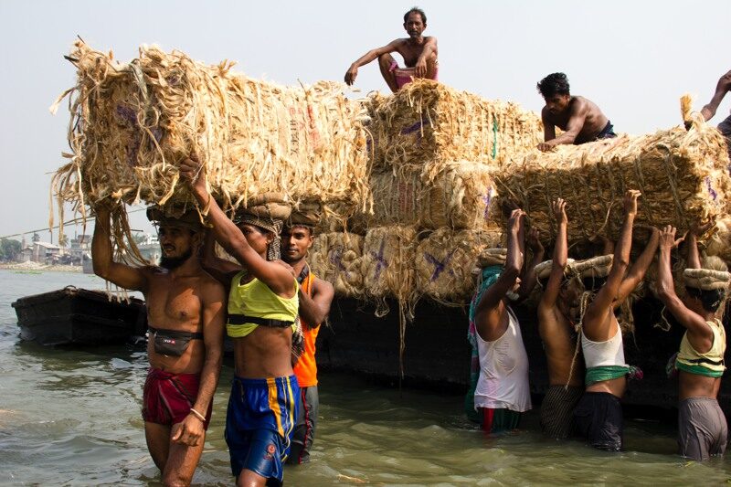 Hands That Feed the Nation by Shahnaz Parvin