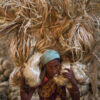 Tending the Green Seedbeds by Shahnaz Parvin
