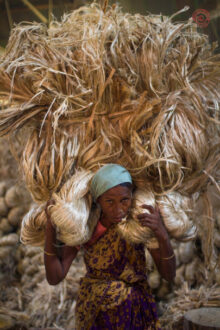 Tending the Green Seedbeds by Shahnaz Parvin