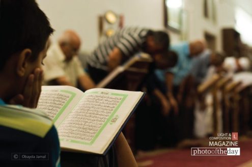 Reading Quran, by Obayda Jamal - Islamic Photography, Photojournalism, Ramadan, Photography Awards, Photo of the Day