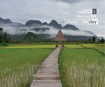 Across the Rice Field by Ryszard Wierzbicki