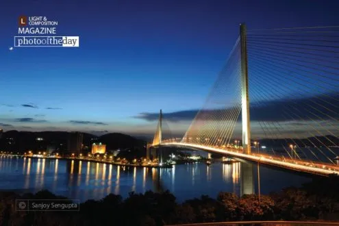 The Cable Bridge by Sanjoy Sengupta