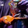 Sharing Colors, by Shahnaz Parvin - Photojournalism, Color Photography, Documentary Photography, Photography Awards, Photo of the Day