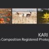 Kari Cvar - Amateur Photography, Nature Photography, Portrait Photography, Photography Awards, Light & Composition