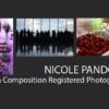Nicole Pandolfo - Photojournalism, Photography, Documentary Photography, Art Photography, Photojournalist