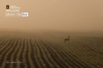 Lost by Dawid Theron