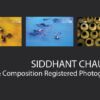Siddhant Chauhan - Photojournalism, Photography,  Award-Winning Photographer,  News Photography,  Siddhant Chauhan