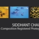 Siddhant Chauhan