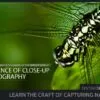 The Essence of Close-up Photography - Close-up Photography, Nature Photography, Macro Photography, Photography Techniques, Photography Book