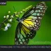 Illuminating Nature, Volume One - Nature Photography, Fine Art Photography, Photo Book, Photography Publication, Nasrul Eam