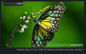 Illuminating Nature, Volume One