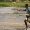 The Green Expanse of Rural Bengal by Shahnaz Parvin