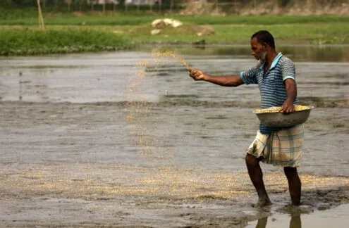 The Green Expanse of Rural Bengal by Shahnaz Parvin