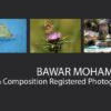 Bawar Mohammad - Photojournalist, Art Photography, Photographer, Kurdistan Photography,  Bawar Mohammad