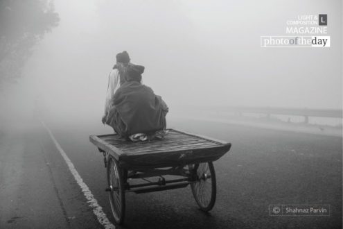 Going through the Mist, by Shahnaz Parvin - Documentary Photography, Photojournalism, Art Photography, Photography Awards, Online Photography Courses
