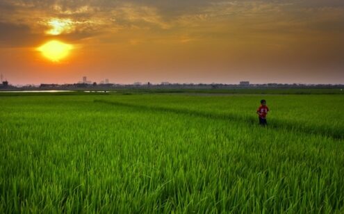 Rhythms of the Riverine Life by Shahnaz Parvin