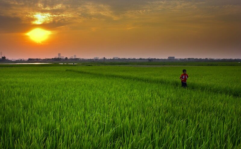 Rhythms of the Riverine Life by Shahnaz Parvin