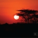 Kruger National Park Sunset, by Dawid Theron