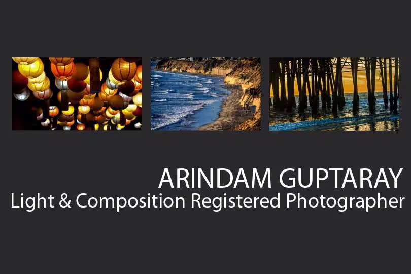 Arindam Guptaray