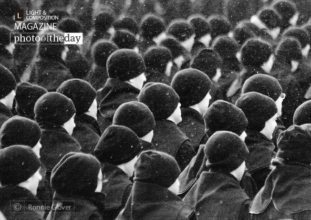 Winter by Ronnie Glover