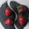 Fruit of the Womb by Iris Bachman