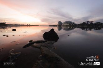 Color Play by Partha Roy