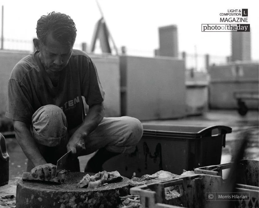 Morning Wet Fish Market by Morris Hilarian