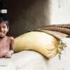 The Smile by Satyam Roy Chowdhury